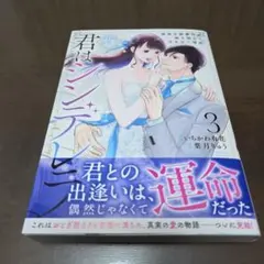 君はシンデレラ～孤高な御曹司が絶え間なく愛を注ぐ理由～【財閥御曹司シリーズ】 3