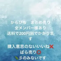 2026年最新】からぴちまとめ売りの人気アイテム - メルカリ
