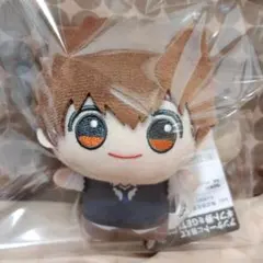 家庭教師ヒットマンREBORN! リボーン　 ちびぐるみ ぬいぐるみ 沢田綱吉