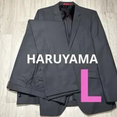 HARUYAMA Lサイズ　グレー　ビジネススーツ