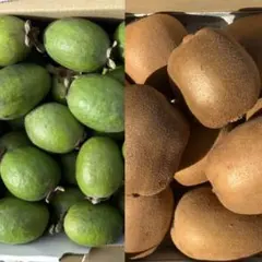 マロンのばぁば様専用　キウイ&フェイジョアミックス2キロ