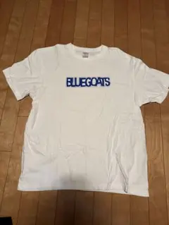 Item thumbnail for item 7dfb6ba6-0df2-49e5-a504-4f65d6a0fd9d