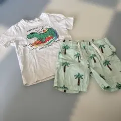 恐竜Tシャツとヤシの木ショートパンツセット