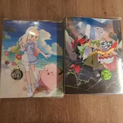 ポケカ コレクションファイル N リーリエ 2冊 セット　コイン付き