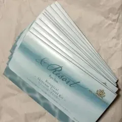 新品未使用】Ryu Spa トラベルキット 1年分 366セットLabubu Big into