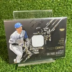 北海道日本ハムファイターズ スポーツカード