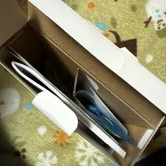 Nintendo DS Lite 箱、取説、ストラップのみ