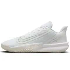 nikeバスケットシューズ25