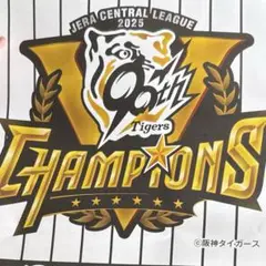スポーツ新聞記念5紙セット　阪神タイガース優勝