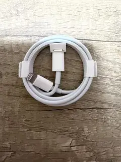 Apple Lightningケーブル ホワイト