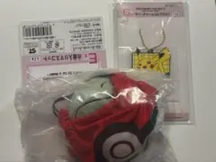 2025年最新】ピカチュウ みがわり ぬいぐるみの人気アイテム - メルカリ