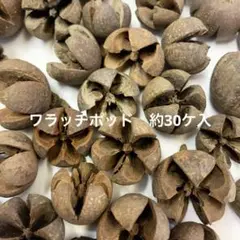 handmade m様 リクエスト 2点 まとめ商品