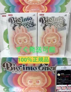 正規品・未開封品 LABUBU Big into Energy 2箱 ラブブ