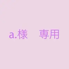 a.様 リクエスト 2点 まとめ商品