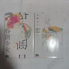 安藤ゆき 漫画 2冊セット 昏倒少女 透明人間の恋