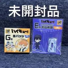 一番くじ ハイキュー G賞、E賞
