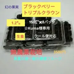 ☆Kuma　ブラックベリー　トリプルクラウン　生食1.2㌔ クール便対応 ☆Kuma様専用 ブラックベリー トリプルクラウン 生食1.2㌔ クール便