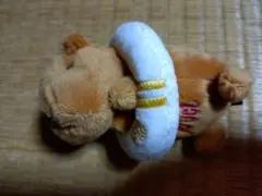 カピバラさん ぬいぐるみマスコット 10月23日