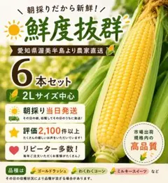 【スーパースイートコーン甘々娘】問い合わせページ 農薬化学肥料不使用 鹿児島県 27【訳アリ&小ぶり 朝どれスーパースイートコーン甘々娘5本】農薬不