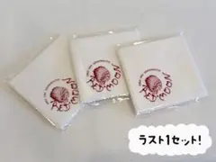 RED MOON レッドムーン ロゴ入りお手入れクロス 3枚セット レア 希少のサムネイル
