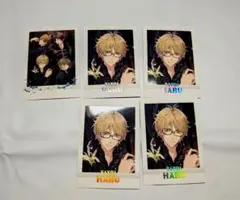 ツキウタ。 弥生春 ぱしゃこれ