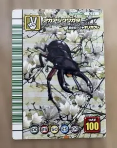 PSA10　コーカサスオオカブト　5周年コレクションカード　第2弾 Amazon.co.jp: ムシキング 5周年コレクションカード第2弾 コーカサス