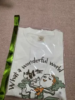 倉木麻衣 11/23 宮城限定 What a wonderful world