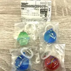 彩り変わった 涼を感じるめじるしアクセサリー 4個セット