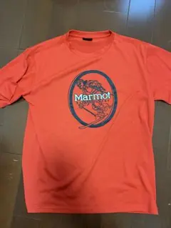 marmotTシャツのサムネイル