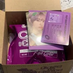 cravity ccrew ソンミン トミー トレカ ぬいぐるみ