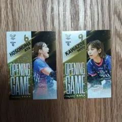 PFUブルーキャッツ 川添美優 細沼綾 カード SVリーグバレーボール