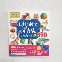 はじめてずかん 650☆英語つきの写真とことば