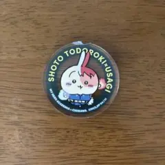 ちいかわ×ヒロアカ アクリルキーホルダー 轟焦凍×うさぎ