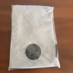 2026スターバックス福袋　ボトルサコッシュ　新品未使用