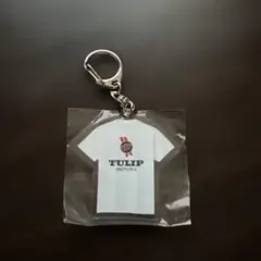 Item thumbnail for item f4dac2d7-eee0-4c51-9f91-80ee48e45bcc