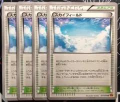 スカイフィールド 4枚セット