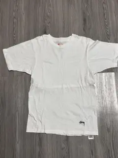 Hanes ステューシー　ホワイト Tシャツ S/CH