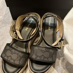 2026年最新】coach エスパドリーユの人気アイテム - メルカリ
