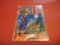 孫悟飯:少年期　パラレル