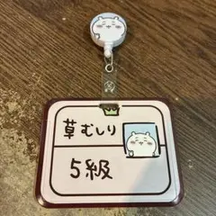 ☆新品未使用☆ちいかわ パスケース カードケース