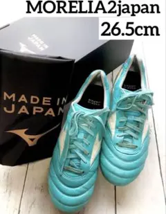 2025年最新】モレリア 青の人気アイテム - メルカリ