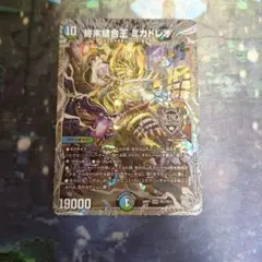 2026年最新】ミカドレオの人気アイテム - メルカリ