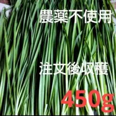 農薬不使用　ニラ にら 天然 約450g(箱込み)のサムネイル