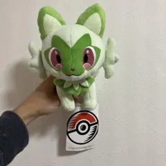 ポケモンぬいぐるみ まとめ売り 新品 タグ付 2026年最新】ポケモンセンター ぬいぐるみ タグ付きの人気アイテム