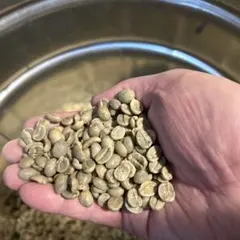 コーヒー生豆 5kg 珈琲豆 ルワンダ - メルカリ