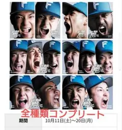 第2弾！「まだ見ぬ景色を、エスコンで。」CS期間限定ステッカー　8枚コンプリート