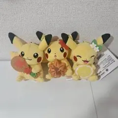 ポケモンセンター　ヒロシマ　ぬいぐるみ　2点セット　新品未使用 ポケモンセンター ヒロシマ限定 ピカチュウマスコット2点セット - メルカリ