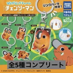 【最安値】チェンソーマンレゼ篇 つながリングチャームめじるしポチタフルコンプ