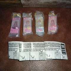 サンリオキャラクターズ　だいすきリカちゃんミニチュアパッケージ　４種