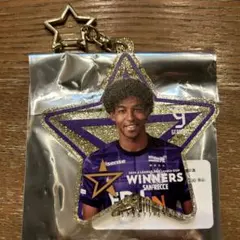 サンフレッチェ広島　ルヴァンカップ優勝記念キーホルダー　ジャーメイン良選手